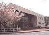 「小野市伝統産業会館」の写真。桜の木と茶色い建物の全体図が映し出されている。