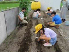 花壇の土の三列に掘られた溝の中に子供達が向日葵の種を撒いている写真