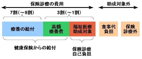 乳幼児等医療・重度障害者医療・母子家庭等医療の助成範囲を示した図