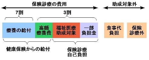 高齢期移行助成の助成範囲を示した図