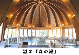 ドーム状の室内の温泉「森の湯」の岩風呂の写真