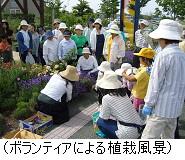 ボランティアの人たちがハーブなどを植栽している様子の写真