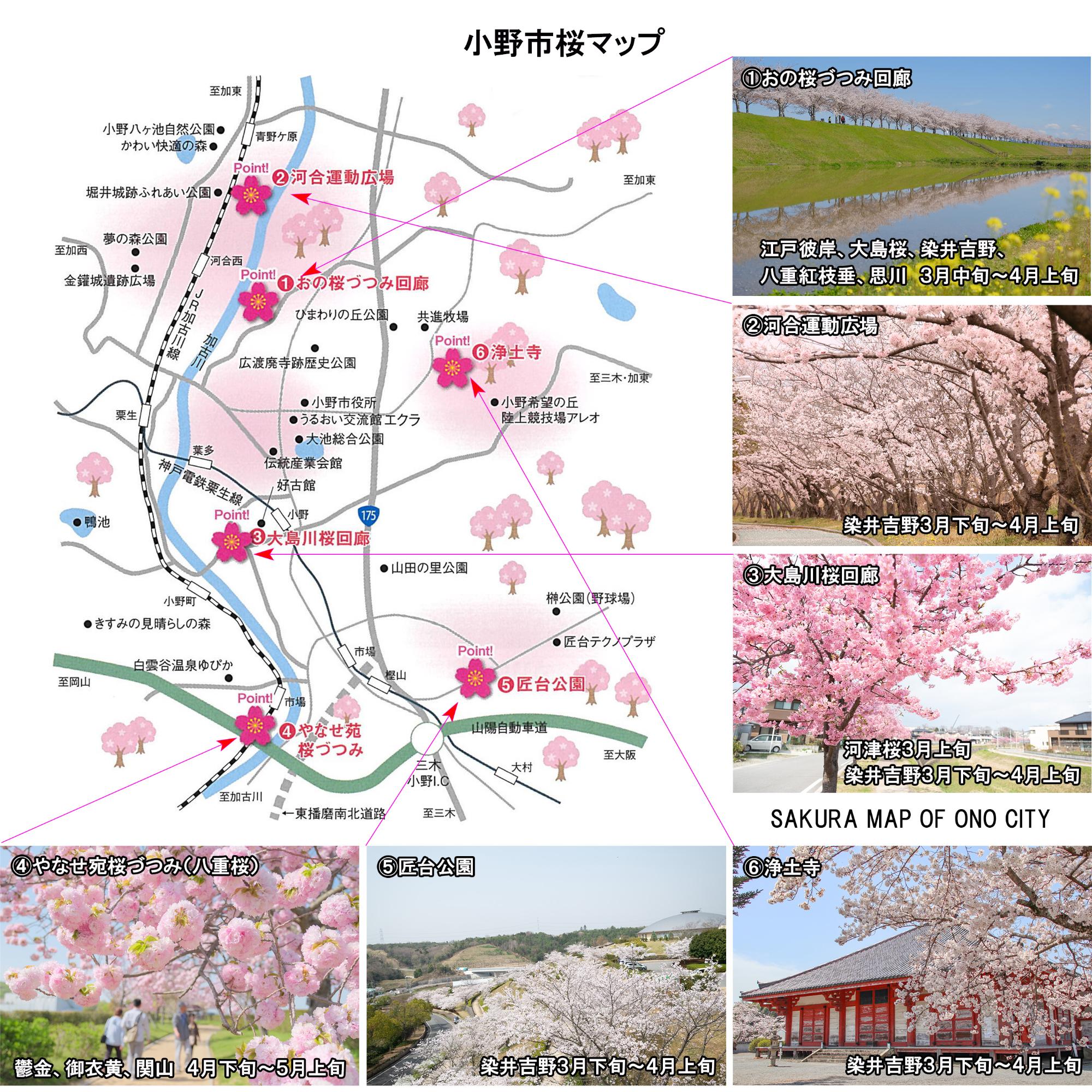 小野市桜マップ
