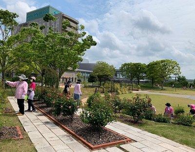 広々とした園内広場で、薬剤散布の作業を行う管理員たちの写真