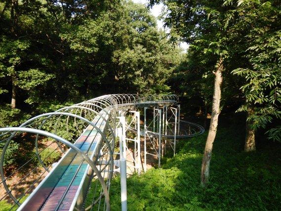 森の中を縫うように、丸いリング型のトンネルの中を続く巨大な滑り台の写真