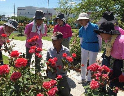 花の切り戻し作業について説明する浅見先生と管理員たちの写真