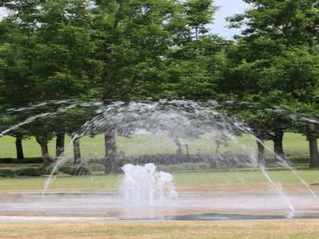 木々に囲まれた遊べる噴水全景の写真