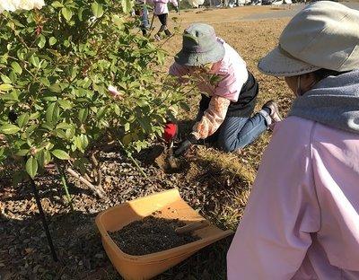 花壇の土に追肥を行う管理員たちの写真