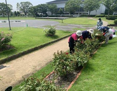 歩道に沿った長い花壇の奥で、それぞれ作業を行う人たちの写真