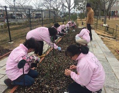 バラの木の芽かき作業を行う管理員たちの写真