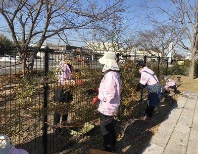 つるバラの葉を除去する管理員たちの写真