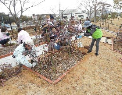 それぞれ分かれて冬季剪定を行う管理員たちの写真