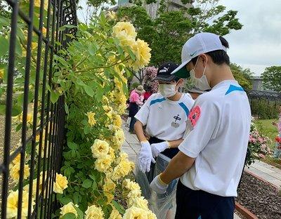 花がら積みの作業を行う体育着の小野中学校男子生徒二名の写真