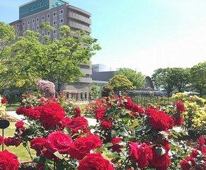 晴れ渡る空の下、赤いバラを主体としたいくつもの花が咲いているローズガーデンの景色の写真