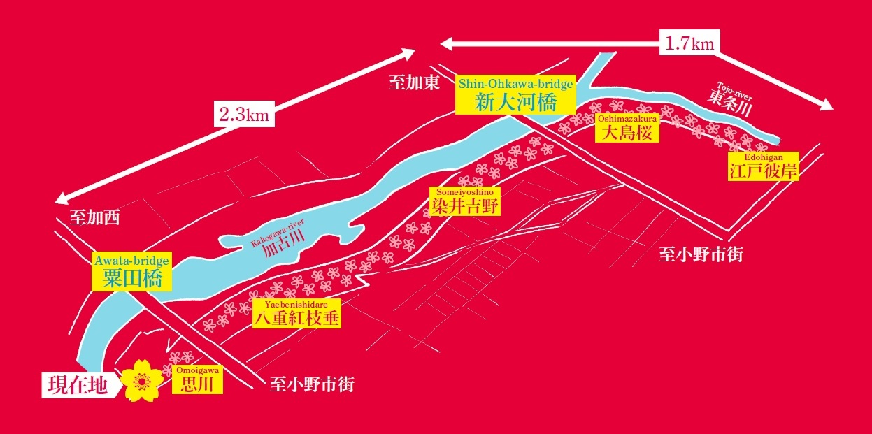おの桜づつみ回廊の簡易図