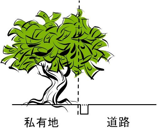 私有地から、道路側に枝葉がはみ出している木のイラスト