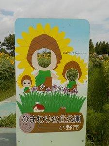 ひまわりキューピーのイラストが描かれたひまわりキューピー顔出しパネルの写真