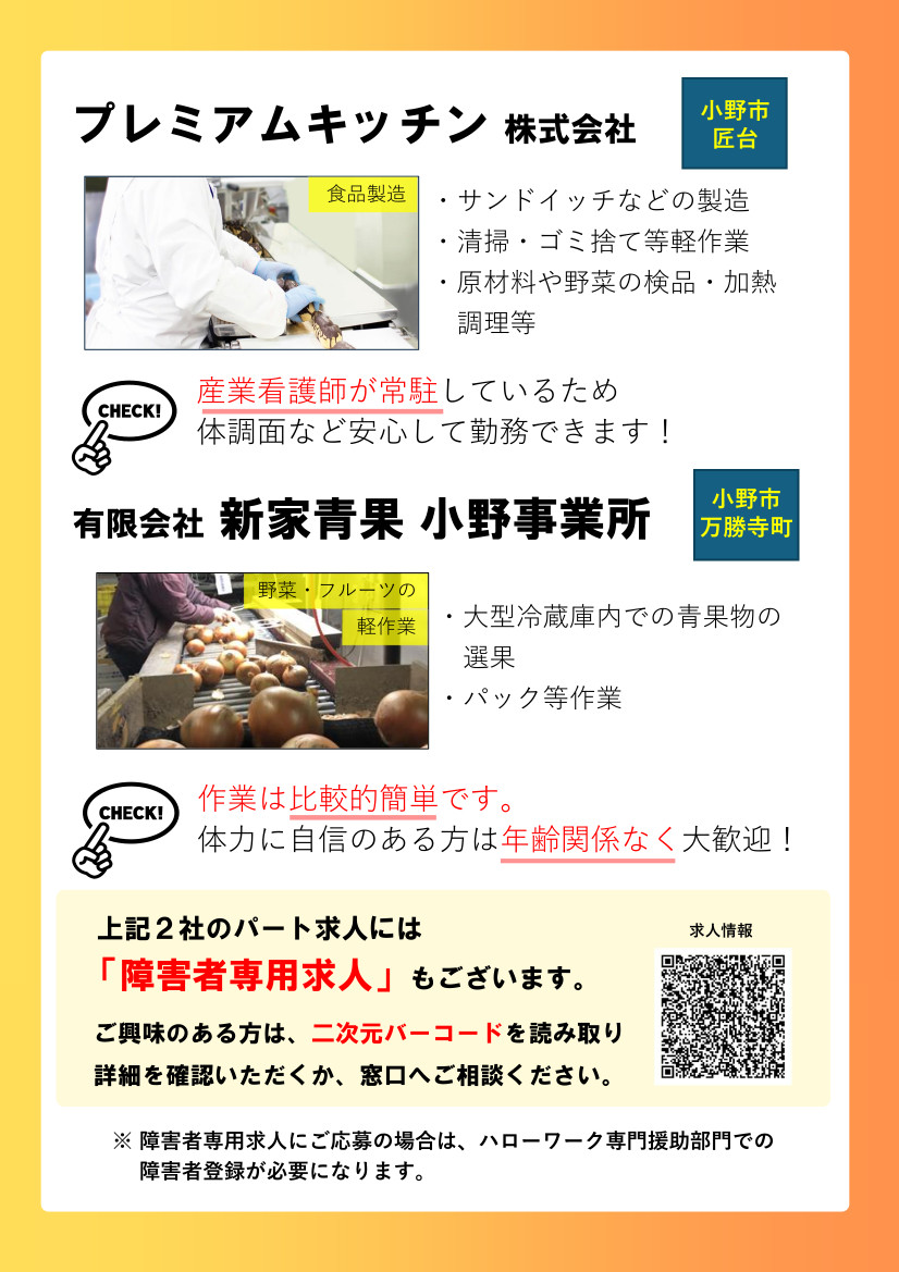 障害者就職面接会チラシ裏
