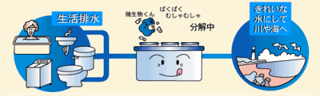 生活排水の汚れを浄化槽の中にいる微生物の働きで分解して、きれいな水にして川や海へ流していることを説明しているイラスト