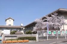 満開の桜と大部小学校の外観の写真