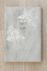 『樟の窓』の本の写真