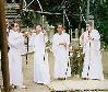 的神事で4名の氏子が並んで弓を射る様子の写真