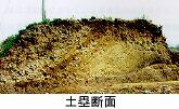 土を高く盛って築かれた土塁断面の写真