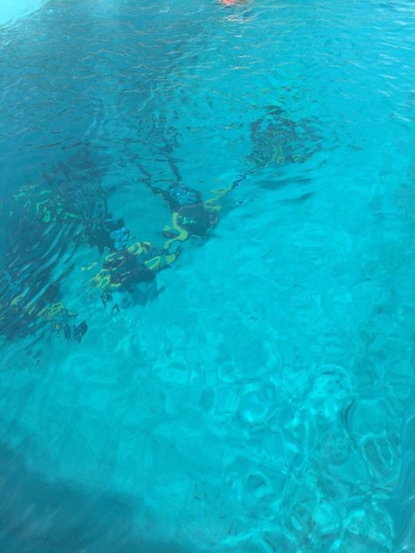 プールの水底で救助訓練のために潜っている隊員たち写真
