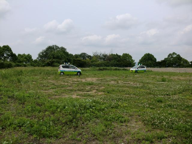 草原を白い車が走っている写真
