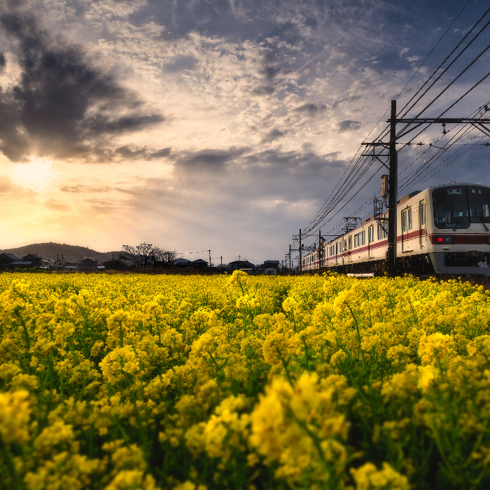 3月18日 葉多駅