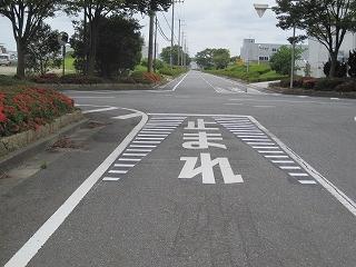 街路樹がある交差点前の道路の「止まれ」の文字が横線で囲んで強調表示されている写真