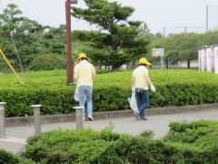 小野まつり前にて、会場付近の植え込み周辺の清掃活動の写真