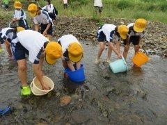 下東条小学校と中番小学校にて、川にアユを放流する子供たちの写真