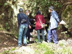 学習内容