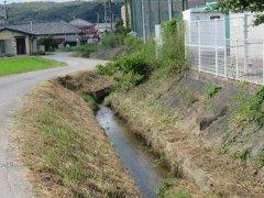 清掃と除草が行われた下東条小学校水路の写真