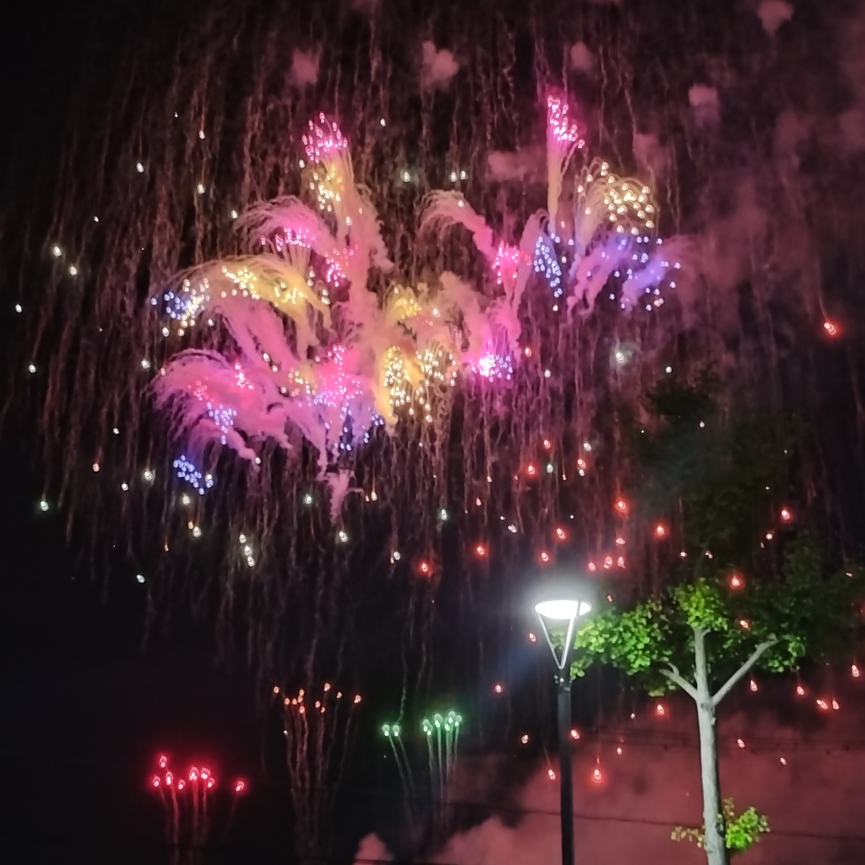 小野の真夏の夜空を彩る花火