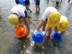小野東小学校にて、川の浅瀬にあゆを放流する児童の様子の写真