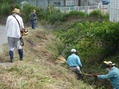 下東条小学校にて、学校そばの水路の清掃を行う委員会メンバーたちの写真