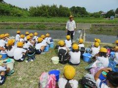 下東条小学校と中番小学校にて、放流に関する注意点を聞く児童たちの写真