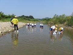 小野小学校にて、浅瀬に児童たちがあゆを放流している写真