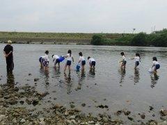 小野東小学校にて、川の浅瀬にあゆを放流する児童の様子の写真