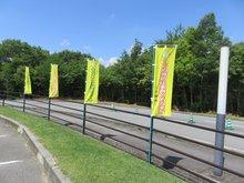 度色沿いの柵に交互に設置された「いじめ等防止条例のあるまち ～小野市～」と「ONOいじめ等防止ウィーク」ののぼりの写真