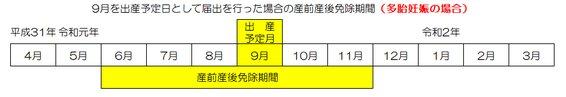 免除対象期間を示した図（多胎妊娠の場合）