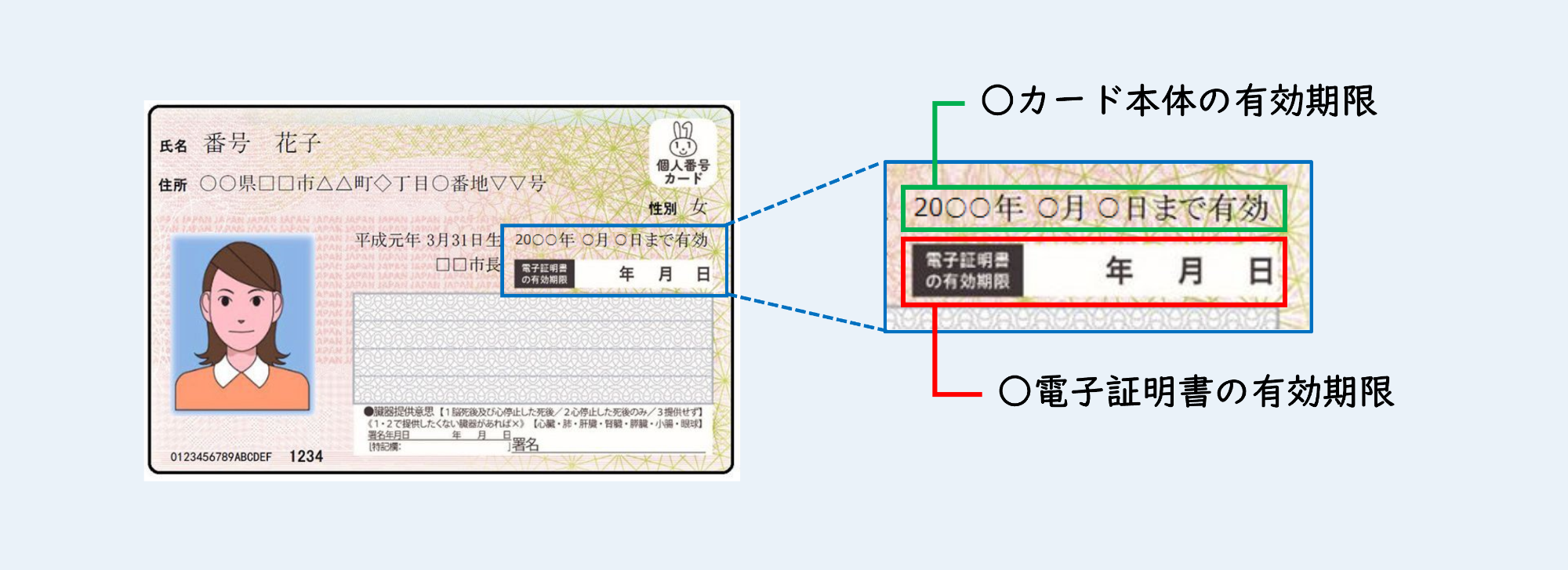 有効期限の確認方法