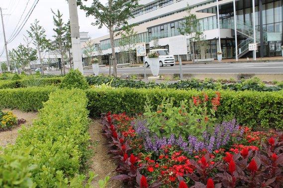 市役所を背景に、色とりどりの花が植えられたガーデニングシティおのの写真