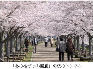 桜づつみ回廊の桜のトンネルを人々が歩いている写真