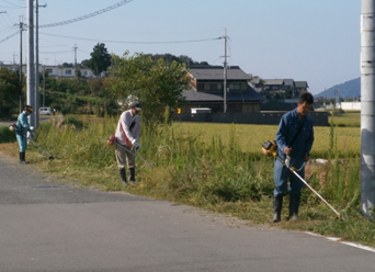 3人の男女が除草機で道路脇の雑草を除草している写真