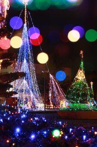 大きなツリーなどのクリスマスイルミネーションの写真