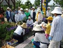 花壇にハーブなどを植えているボランティアの人たちの写真