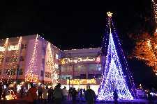 市役所前に飾られているクリスマスツリーなどのクリスマスイルミネーションの写真